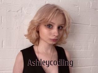 Ashleycodling