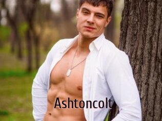 Ashtoncolt