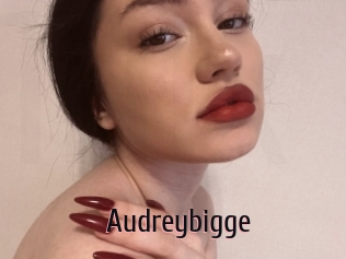 Audreybigge