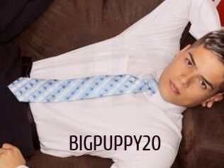 BIGPUPPY20