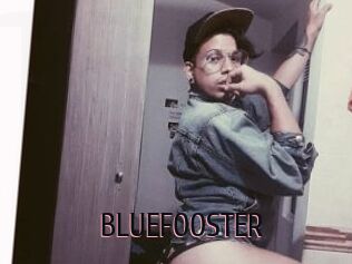 BLUEFOOSTER