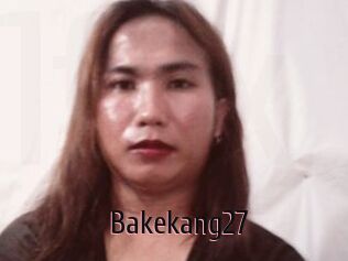 Bakekang27