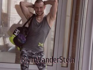 BjornVanderStein