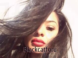 Blackcatforu