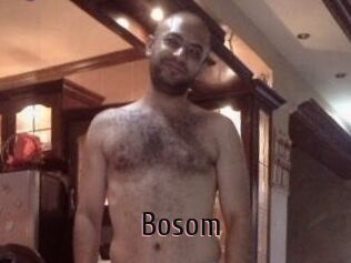 Bosom