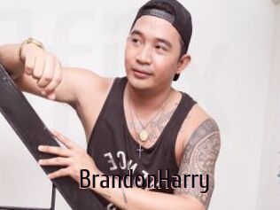 BrandonHarry