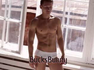 BucksBunny