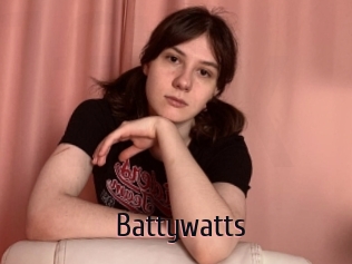 Battywatts