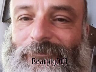 Bearpig001