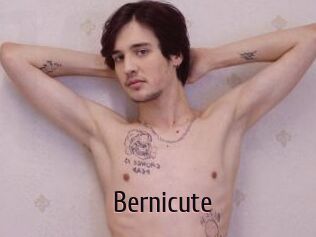 Bernicute
