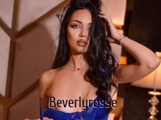 Beverlyrosse