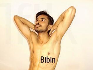 Bibin