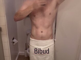 Bibud