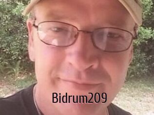 Bidrum209