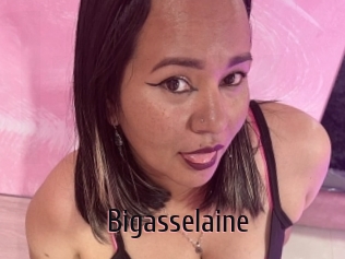 Bigasselaine