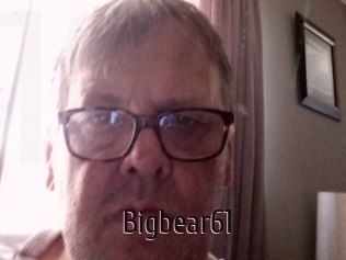 Bigbear61