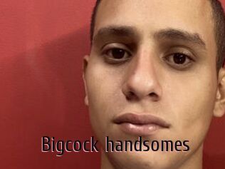 Bigcock_handsomes