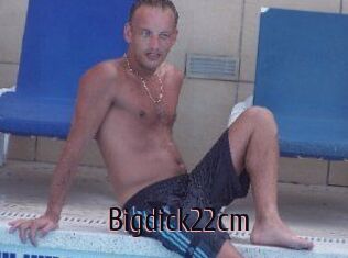 Bigdick22cm