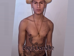 Bigdicksnake