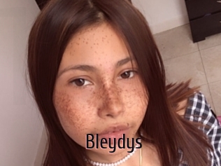 Bleydys