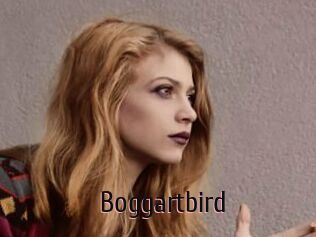 Boggartbird