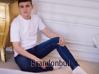Brandonbud