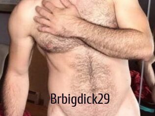 Brbigdick29