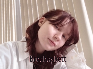 Breebaskett