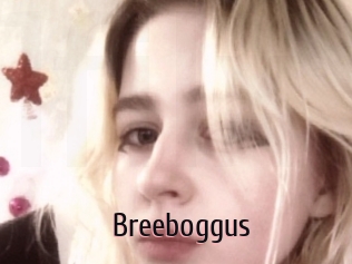Breeboggus