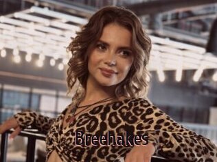 Breehakes