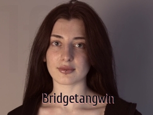 Bridgetangwin