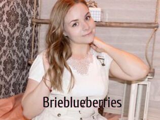 Brieblueberries