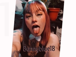 Bunnyblue18