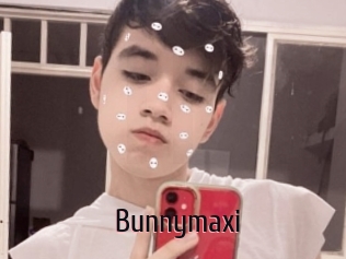 Bunnymaxi
