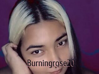 Burningrose20