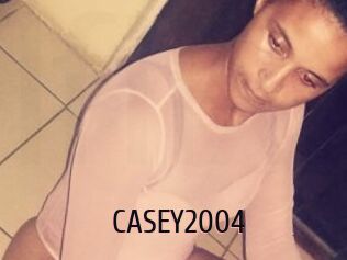CASEY2004