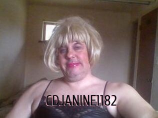 CDJANINE1182