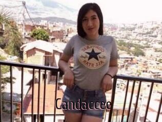 Candaccee