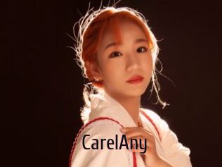 CarelAny 1 film x
