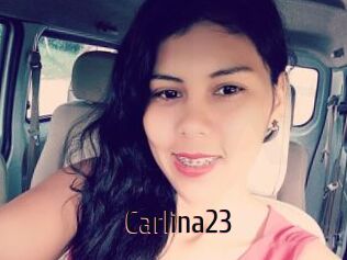 Carlina23