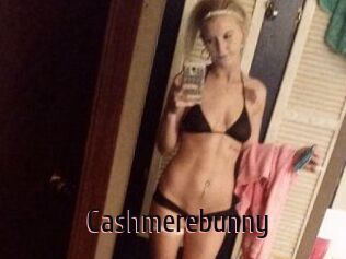 Cashmerebunny