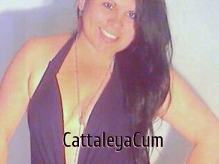CattaleyaCum