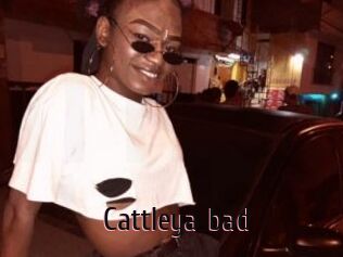 Cattleya_bad