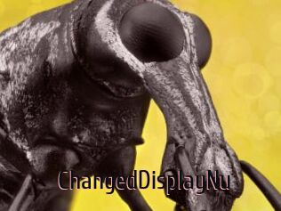 ChangedDisplayNu