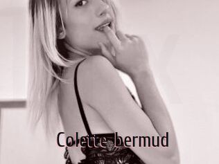 Colette_bermud