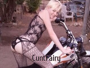 CuntFairy