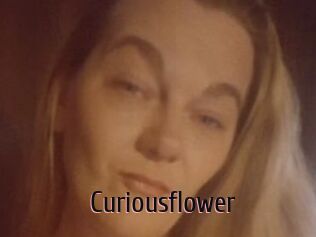 Curiousflower