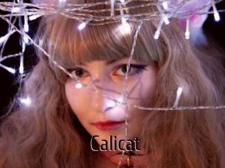 Calicat