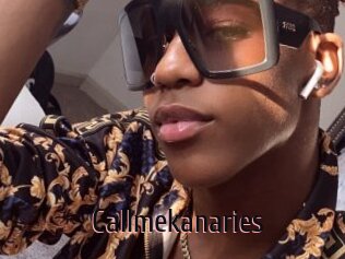 Callmekanaries