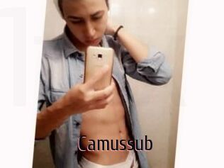 Camussub
